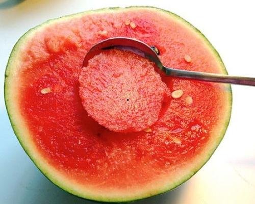 西瓜博物馆免费吃瓜,西瓜博物馆邀您体验瓜果盛宴  第1张